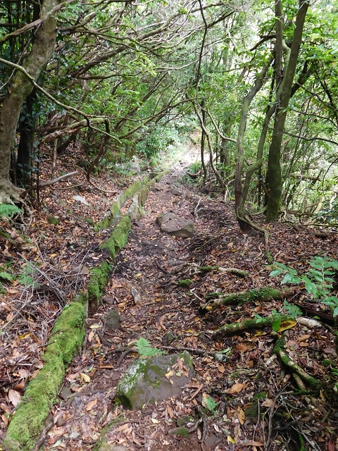 Levada do Poco do Bezerro — Levada 1 — photo 18