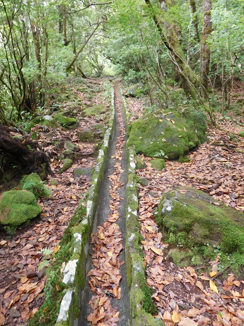 Levada do Poco do Bezerro — Levada 1 — photo 19