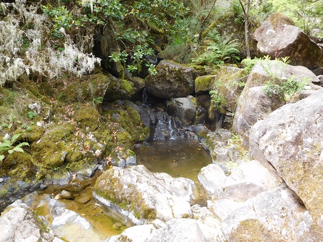 Levada do Poco do Bezerro — Levada 1 — photo 2