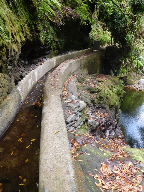 Levada do Poco do Bezerro — Levada 2 — photo 3