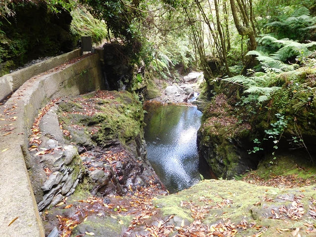 Levada do Poco do Bezerro — Levada 2 — photo 4