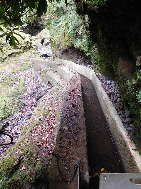 Levada do Poco do Bezerro — Levada 2 — photo 6