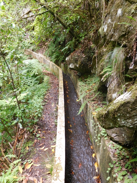 Levada do Poco do Bezerro — Levada 2 — photo 7