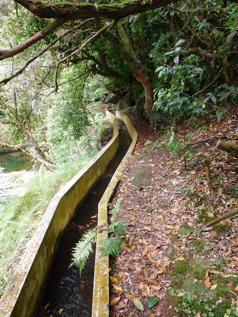 Levada do Poco do Bezerro — Levada 2 — photo 8