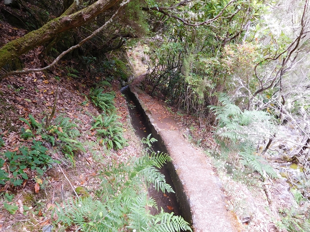 Levada do Poco do Bezerro — Levada 1 — photo 5