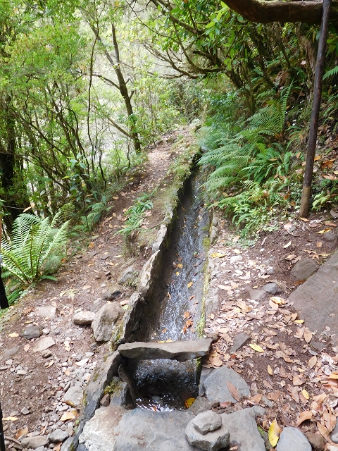 Levada do Poco do Bezerro — Levada 1 — photo 7