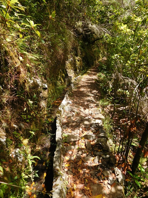 Levada do Poco do Bezerro — Levada 1 — photo 8