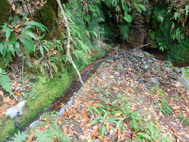 Levada do Poco do Bezerro — Levada 1 — photo 9
