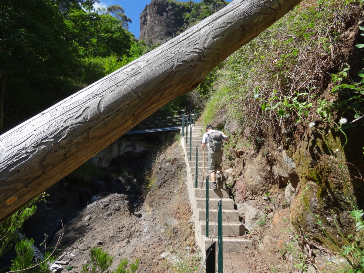 Levada do Poiso — Berichte und Bilder — Foto 1
