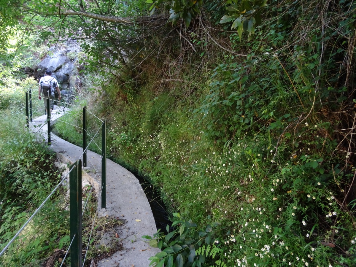 Levada do Poiso — Berichte und Bilder — Foto 3