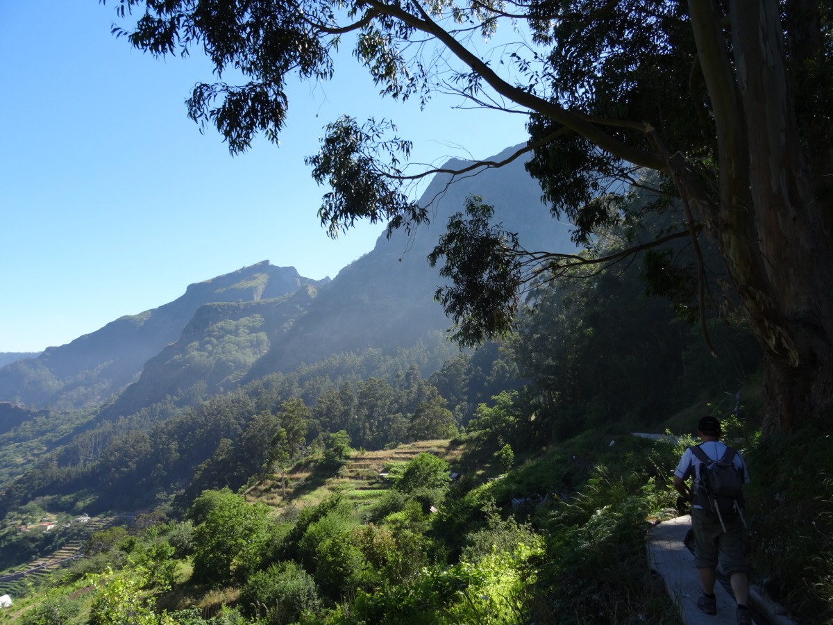 Levada do Poiso — Berichte und Bilder — Foto 4