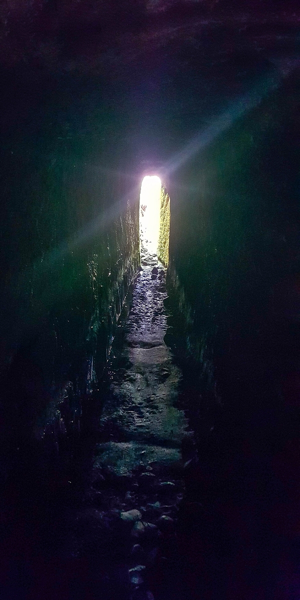 Levada do Posto Aquicola do Ribeiro Frio — The Madre, the 30 m tunnel — photo 10