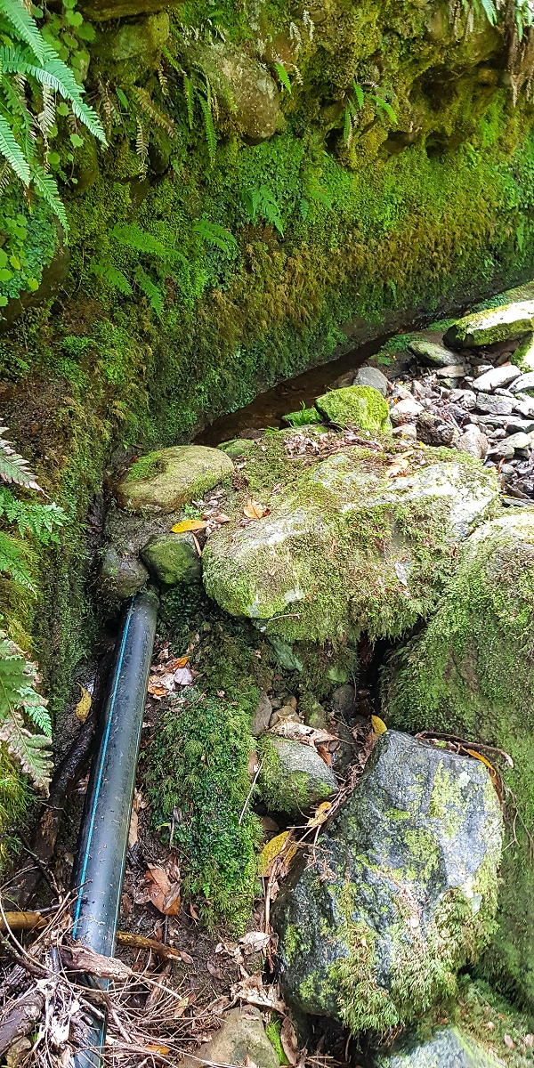 Levada do Posto Aquicola do Ribeiro Frio — On along the Ribeiro Frio to the levada bridge, side levada 9 — photo 18