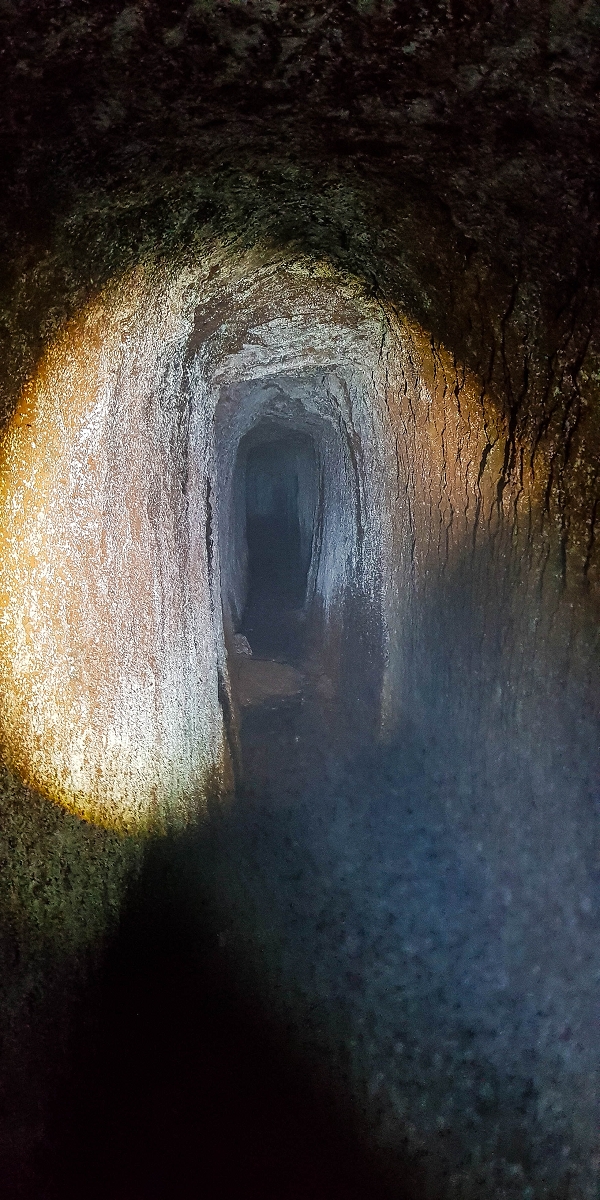 Levada do Posto Aquicola do Ribeiro Frio — The Madre, the 30 m tunnel — photo 11