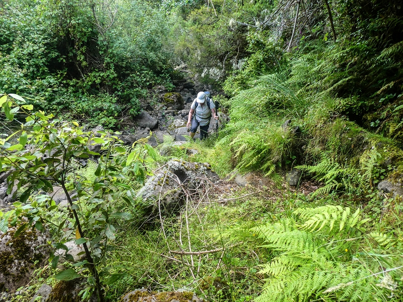 Levada do Posto Aquicola do Ribeiro Frio — On in or along the Ribeiro Frio, side levada 10 as far as the turn-off from the path — photo 1