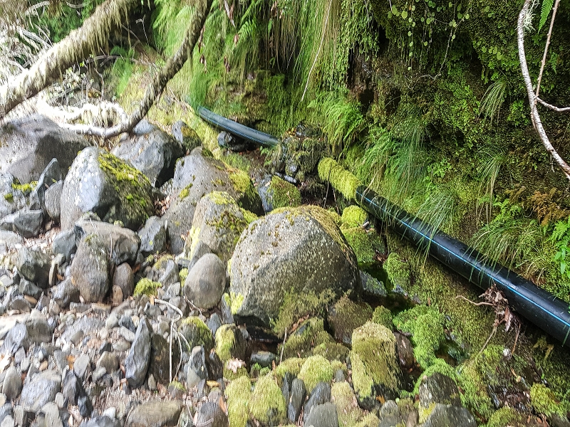 Levada do Posto Aquicola do Ribeiro Frio — On in or along the Ribeiro Frio, side levada 10 as far as the turn-off from the path — photo 3