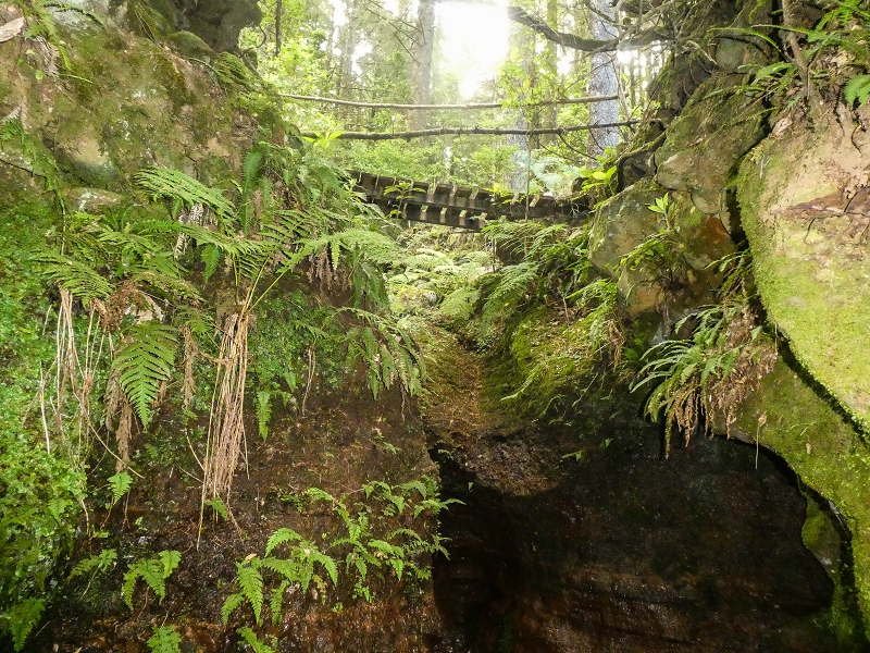 Levada do Posto Aquicola do Ribeiro Frio — On in or along the Ribeiro Frio, side levada 10 as far as the turn-off from the path — photo 5