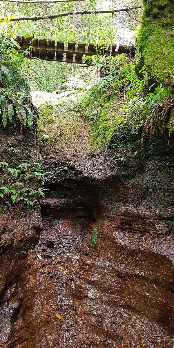 Levada do Posto Aquicola do Ribeiro Frio — On in or along the Ribeiro Frio, side levada 10 as far as the turn-off from the path — photo 6