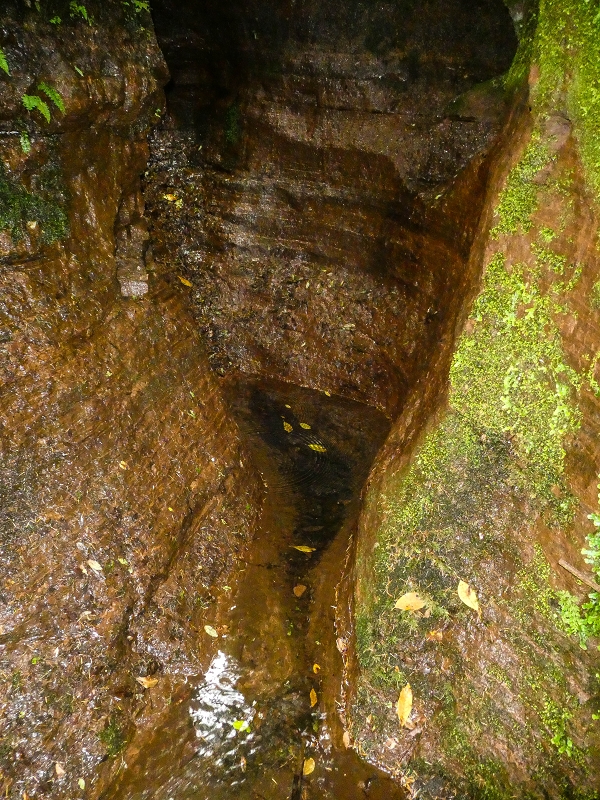 Levada do Posto Aquicola do Ribeiro Frio — On in or along the Ribeiro Frio, side levada 10 as far as the turn-off from the path — photo 7