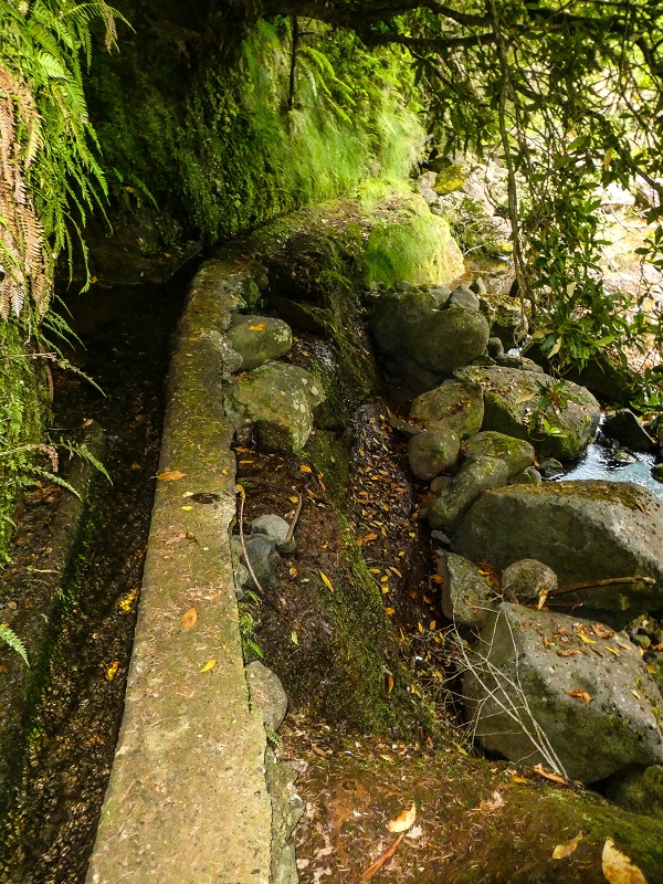 Levada do Posto Aquicola do Ribeiro Frio — On in or along the Ribeiro Frio, side levada 10 as far as the turn-off from the path — photo 9