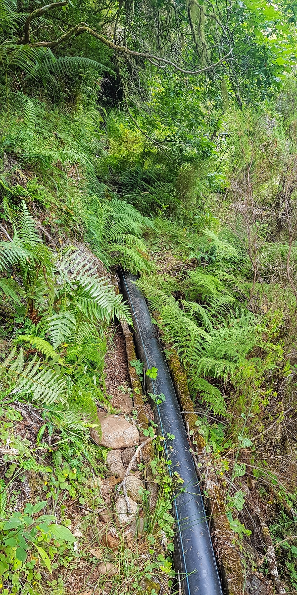 Levada do Posto Aquicola do Ribeiro Frio — On in or along the Ribeiro Frio, side levada 10 as far as the turn-off from the path — photo 18
