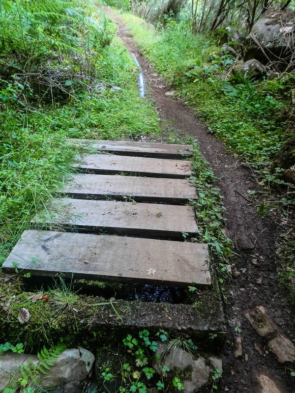Levada do Posto Aquicola do Ribeiro Frio — Along the path, a basin for pressure relief, a Madre in the stream and side levada 11 — photo 1