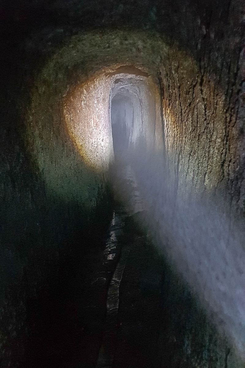 Levada do Posto Aquicola do Ribeiro Frio — The Madre, the 30 m tunnel — photo 13