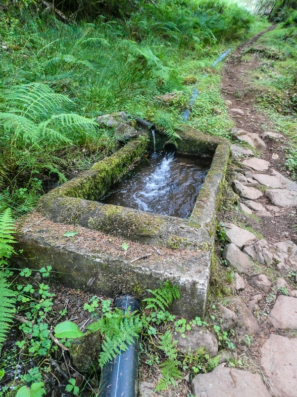 Levada do Posto Aquicola do Ribeiro Frio — Along the path, a basin for pressure relief, a Madre in the stream and side levada 11 — photo 3