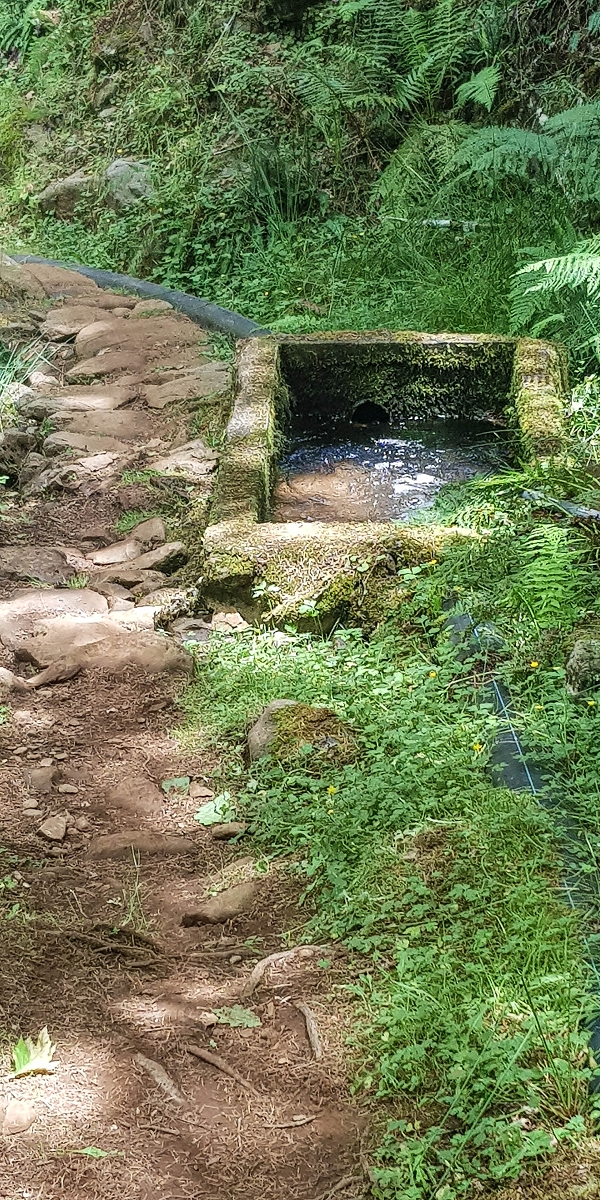 Levada do Posto Aquicola do Ribeiro Frio — Along the path, a basin for pressure relief, a Madre in the stream and side levada 11 — photo 4