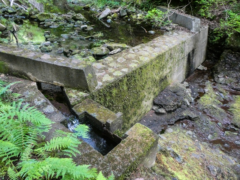 Levada do Posto Aquicola do Ribeiro Frio — Along the path, a basin for pressure relief, a Madre in the stream and side levada 11 — photo 7