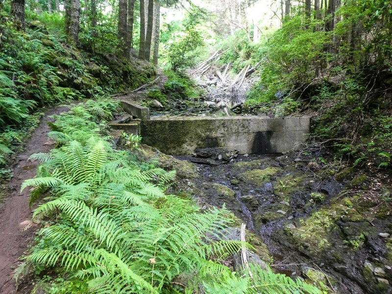 Levada do Posto Aquicola do Ribeiro Frio — Along the path, a basin for pressure relief, a Madre in the stream and side levada 11 — photo 9