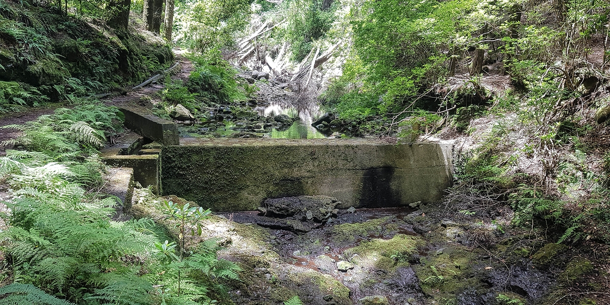 Levada do Posto Aquicola do Ribeiro Frio — Along the path, a basin for pressure relief, a Madre in the stream and side levada 11 — photo 10