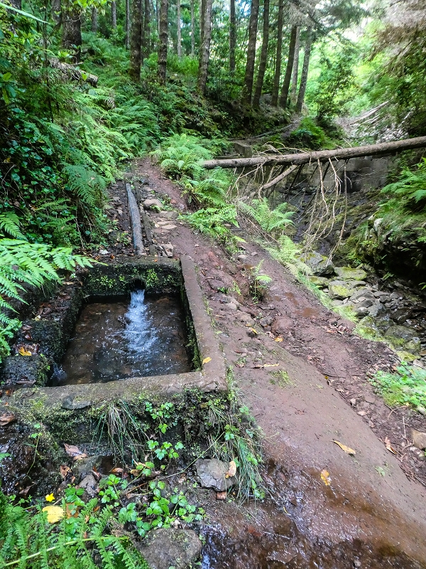 Levada do Posto Aquicola do Ribeiro Frio — Along the path, a basin for pressure relief, a Madre in the stream and side levada 11 — photo 11