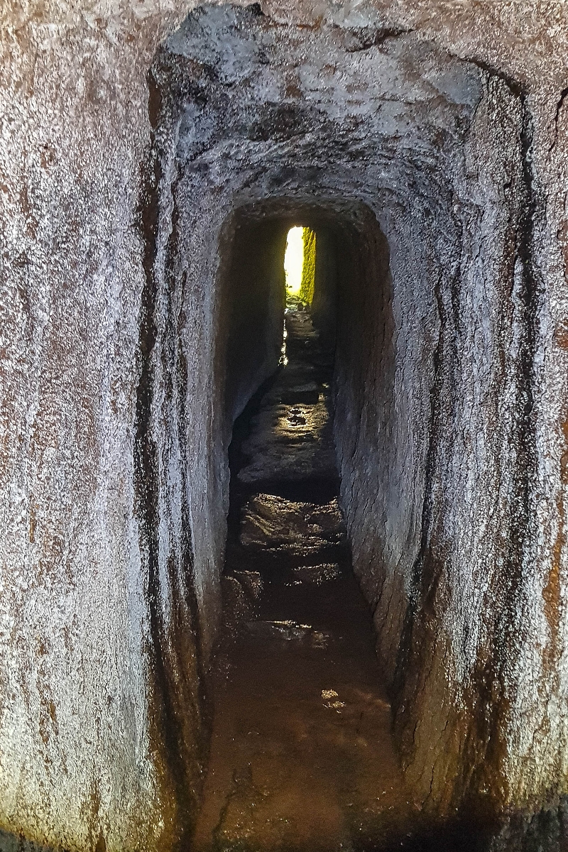 Levada do Posto Aquicola do Ribeiro Frio — The Madre, the 30 m tunnel — photo 14