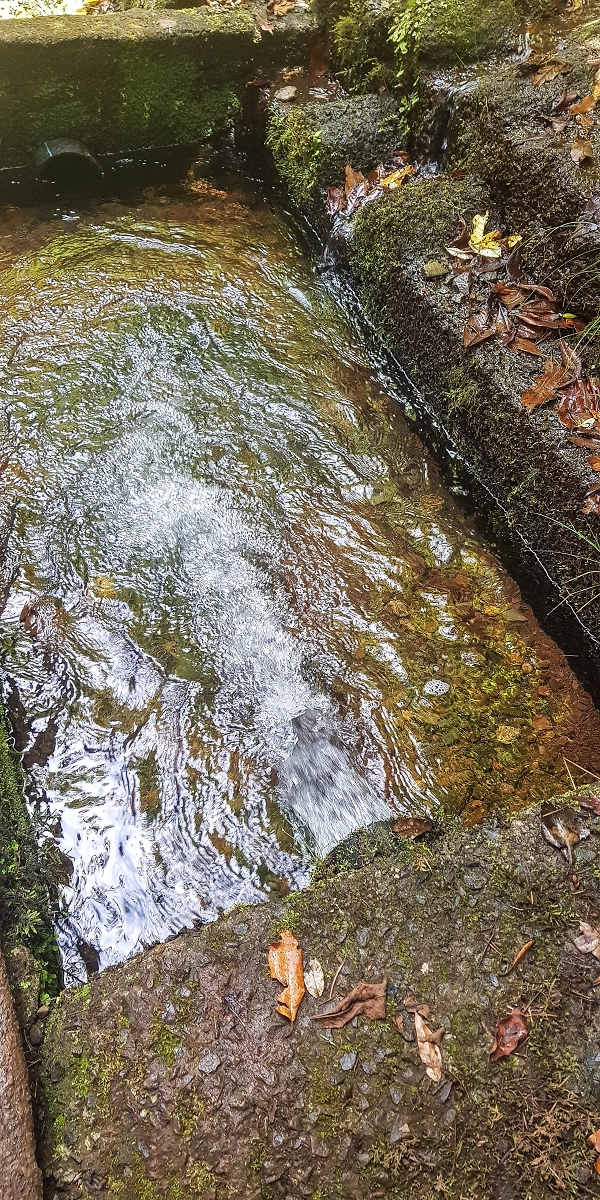 Levada do Posto Aquicola do Ribeiro Frio — Along the path, a basin for pressure relief, a Madre in the stream and side levada 11 — photo 12