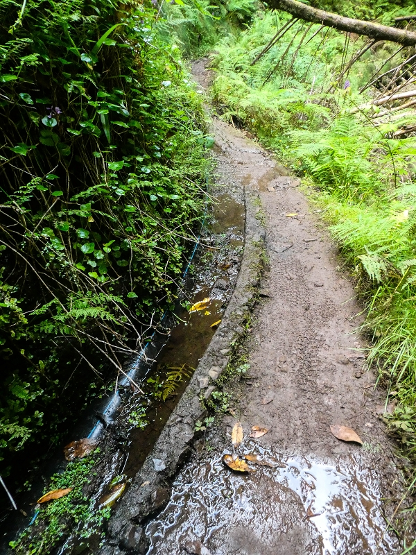 Levada do Posto Aquicola do Ribeiro Frio — Along the path, a basin for pressure relief, a Madre in the stream and side levada 11 — photo 13