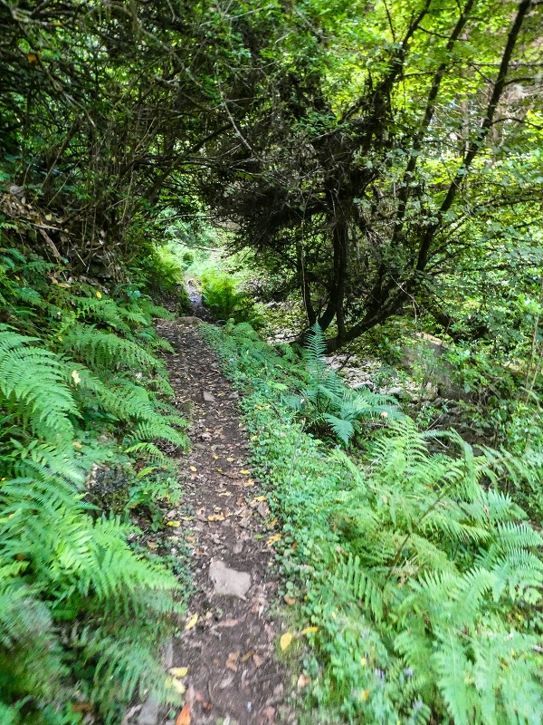 Levada do Posto Aquicola do Ribeiro Frio — Along the path, a basin for pressure relief, a Madre in the stream and side levada 11 — photo 16
