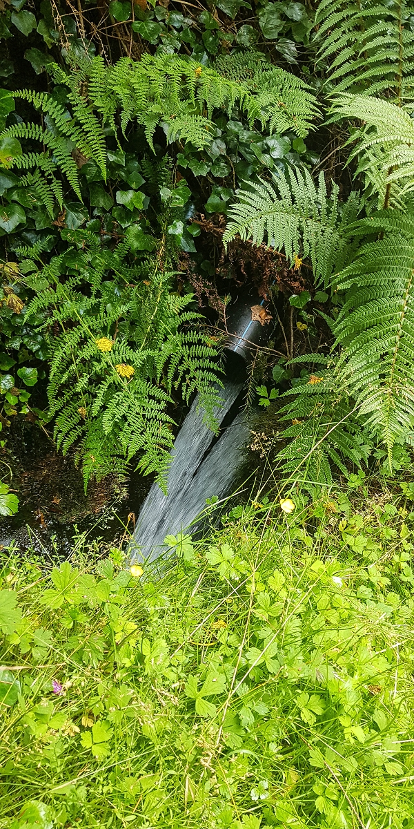 Levada do Posto Aquicola do Ribeiro Frio — Along the path, a basin for pressure relief, a Madre in the stream and side levada 11 — photo 18