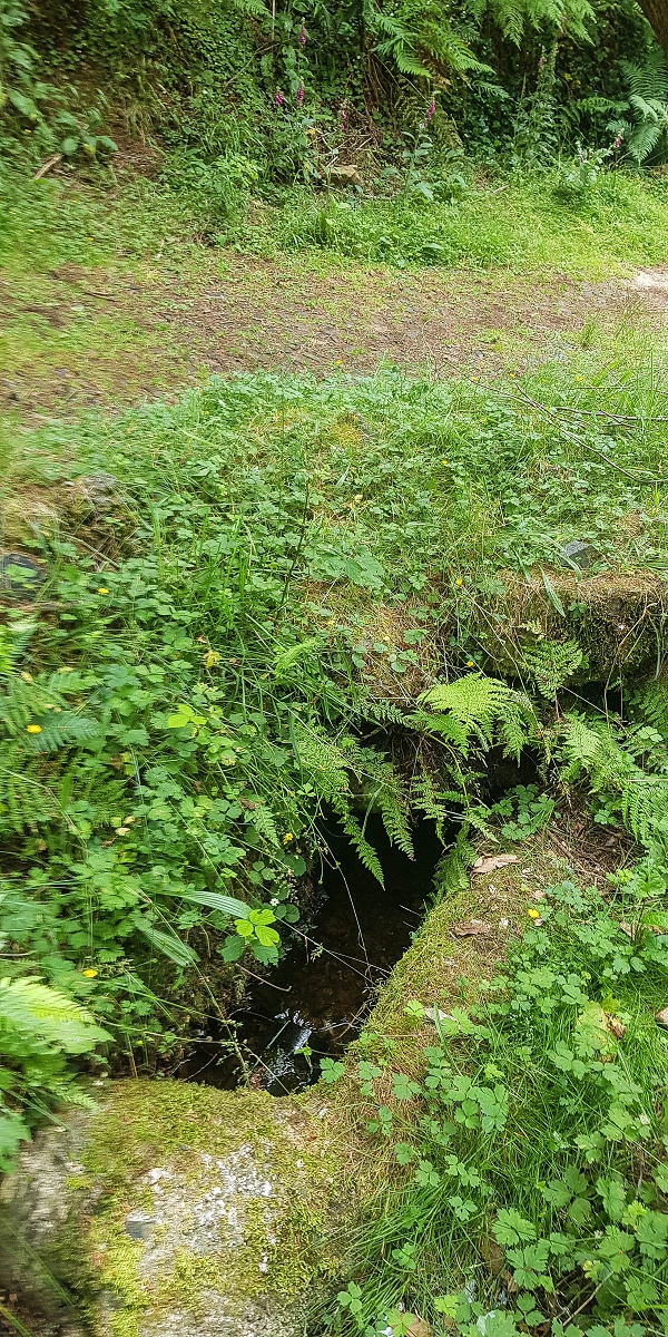 Levada do Posto Aquicola do Ribeiro Frio — The bypass around the hill — photo 1