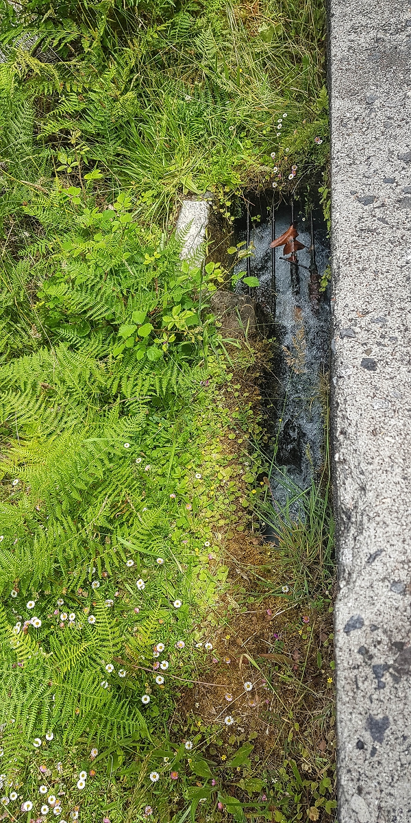 Levada do Posto Aquicola do Ribeiro Frio — Basin beside the road for pressure relief before the piping — photo 1