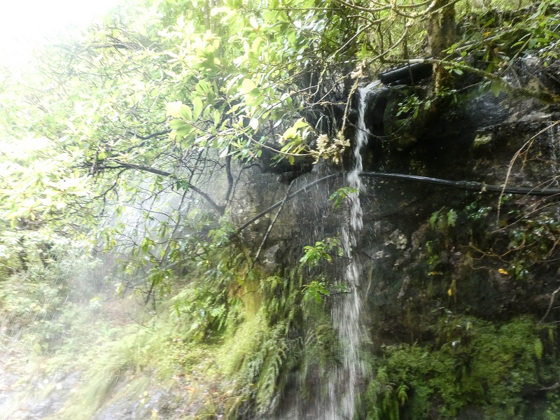 Levada do Posto Aquicola do Ribeiro Frio — Pipe waterfall — photo 1