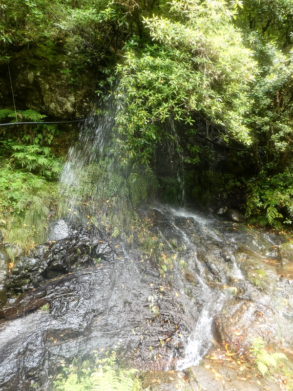 Levada do Posto Aquicola do Ribeiro Frio — Pipe waterfall — photo 2