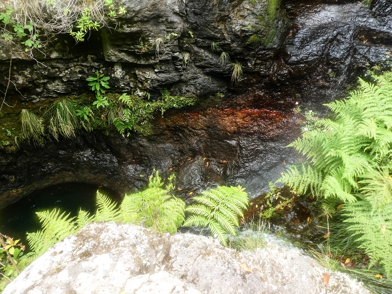 Levada do Posto Aquicola do Ribeiro Frio — Pipe waterfall — photo 3