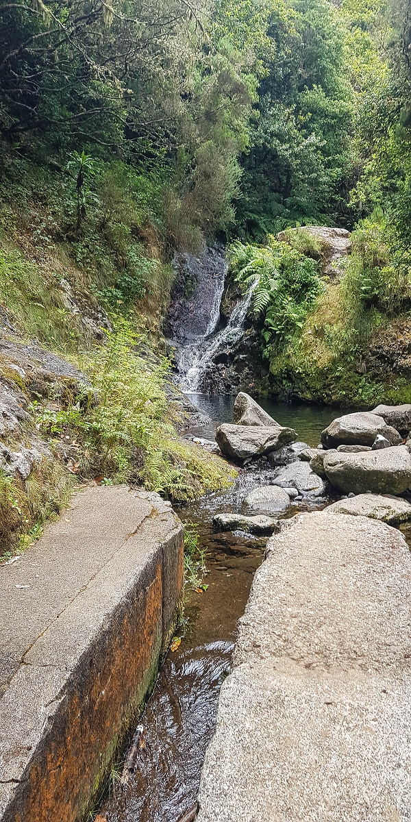 Levada do Posto Aquicola do Ribeiro Frio — Pipe waterfall — photo 4