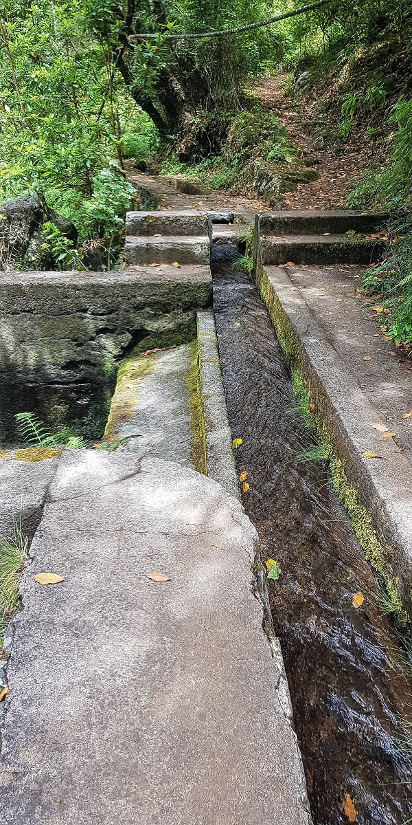 Levada do Posto Aquicola do Ribeiro Frio — Water outlet and levada steps — photo 2