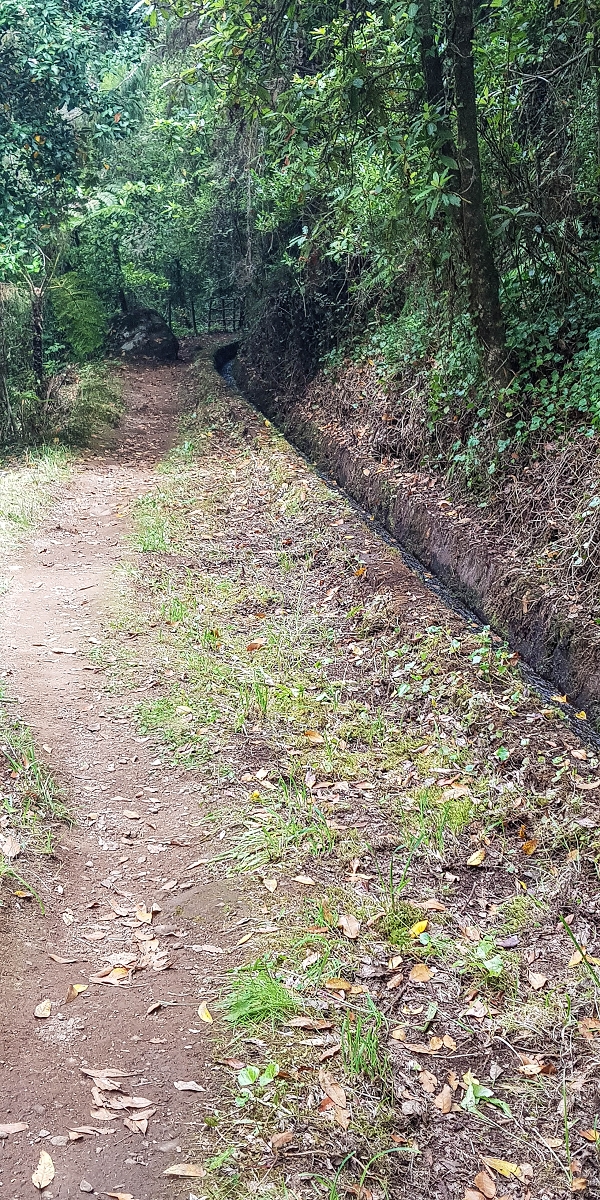 Levada do Posto Aquicola do Ribeiro Frio — Water outlet and levada steps — photo 3