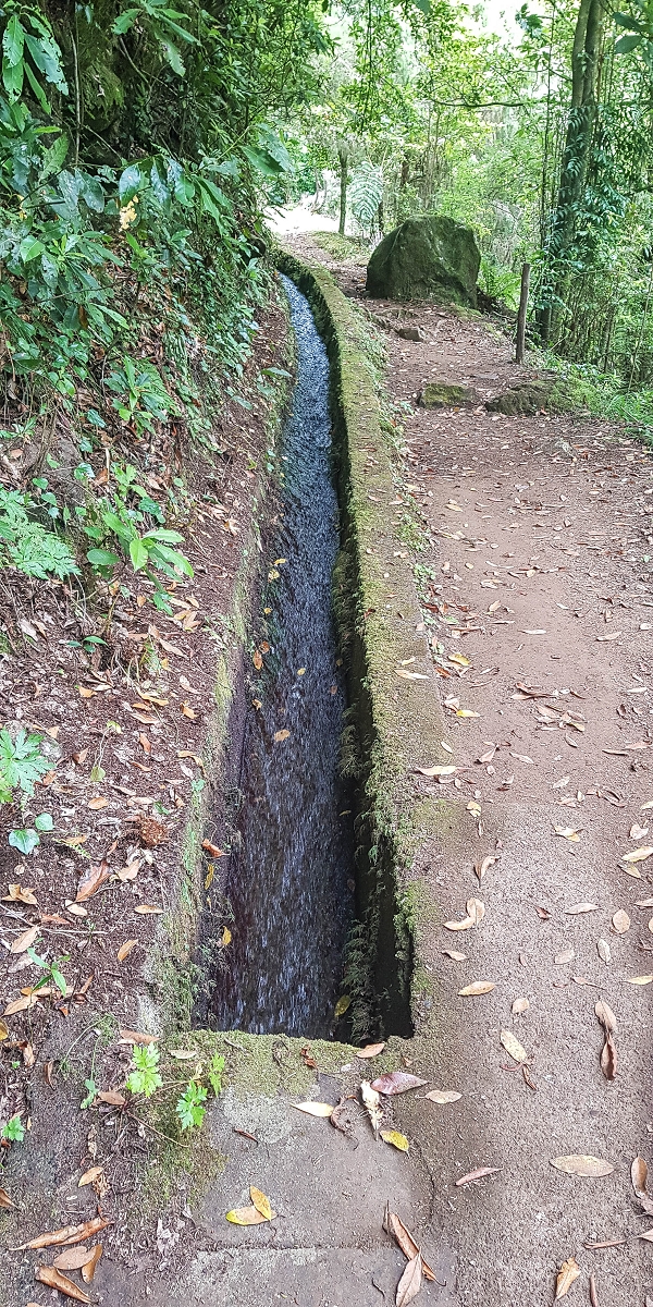 Levada do Posto Aquicola do Ribeiro Frio — Water outlet and levada steps — photo 4