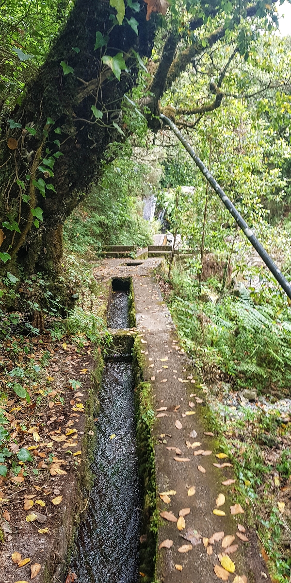 Levada do Posto Aquicola do Ribeiro Frio — Water outlet and levada steps — photo 5