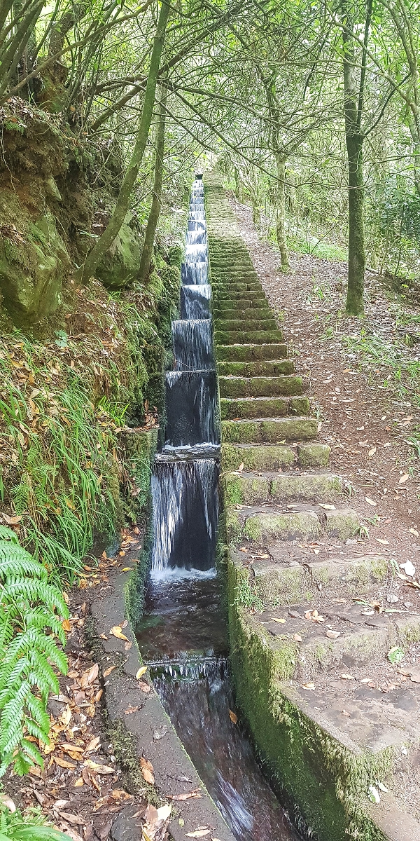 Levada do Posto Aquicola do Ribeiro Frio — Water outlet and levada steps — photo 6