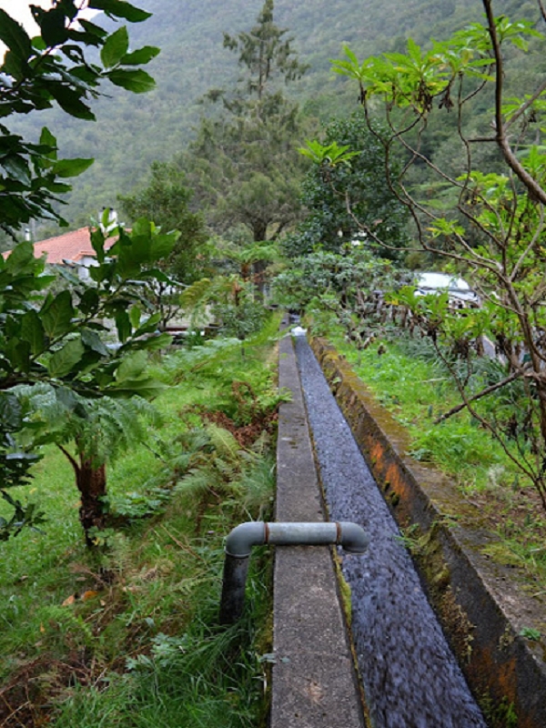 Levada do Posto Aquicola do Ribeiro Frio — The well-known finish — photo 1